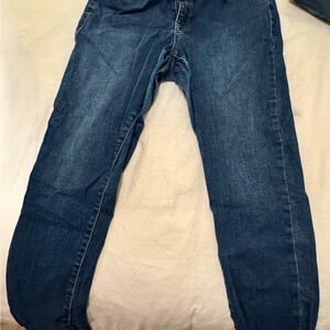 Lane Bryant Flex Magic Waistband High
Rise Jegging